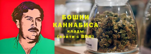 твердый Аркадак