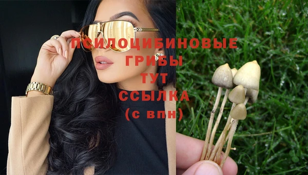 твердый Аркадак