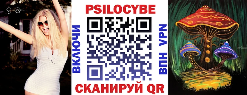 закладки  Новотитаровская  Галлюциногенные грибы Psilocybine cubensis 
