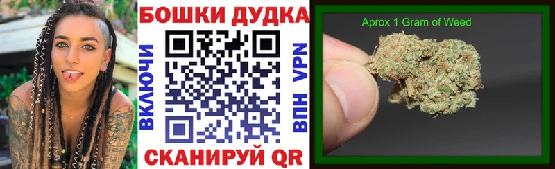 Конопля планчик  дарнет шоп  Новотитаровская 